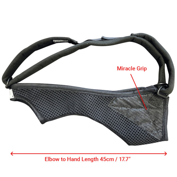 Arm Hand Standard Dims Web 2025