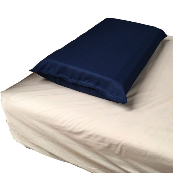 Seclusion Room Pillow