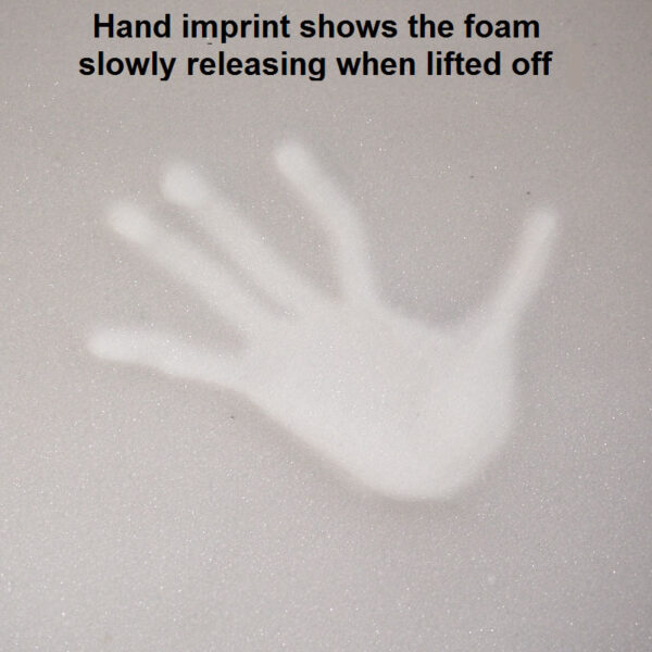 Pressure Relief Memory Foam Cushion