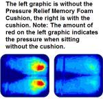 Pressure Relief Memory Foam Cushion